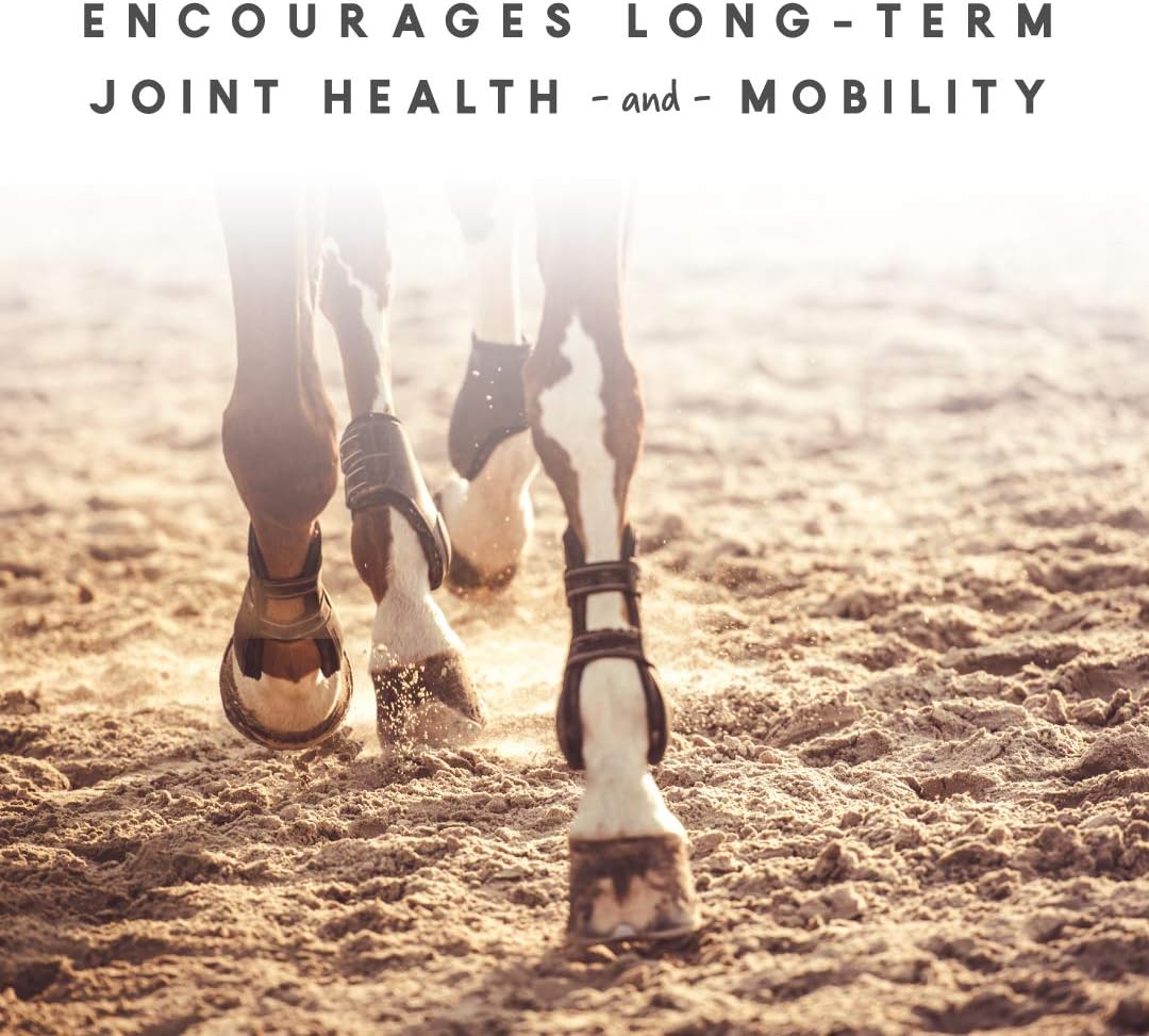 Manna Pro Cetyl-M Joint Supplement for Horses, Omega-5 Fatty Acids, Supports Mobility, Flexibility, and Joint Health (5.1 kg)