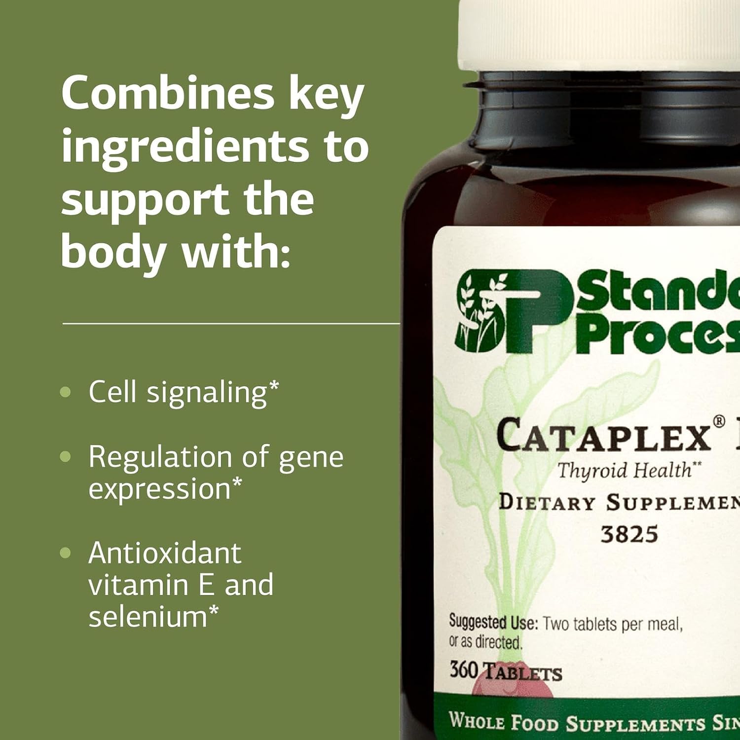 Standard Process Cataplex E Thyroid Health Supplement - Gluten-Free, Non-Dairy & Non-Soy - Endocrine Support - 360 Tablets