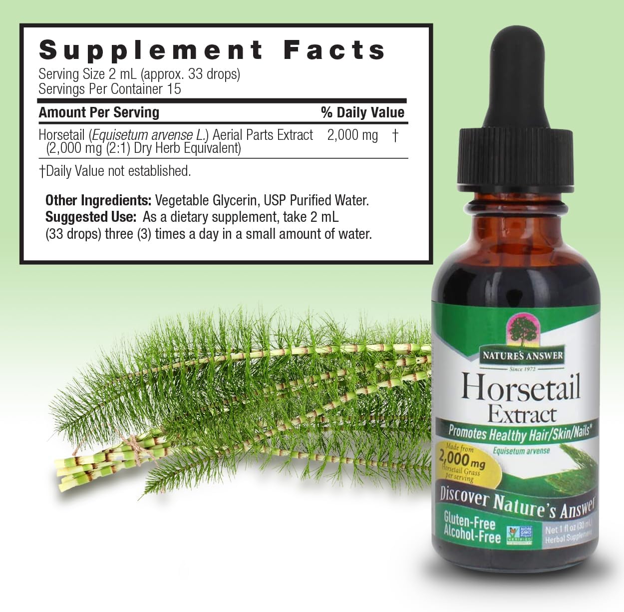 Nature's Answer Horsetail Extract Alcohol Free - 1 oz (30 mL) Super Concentrated