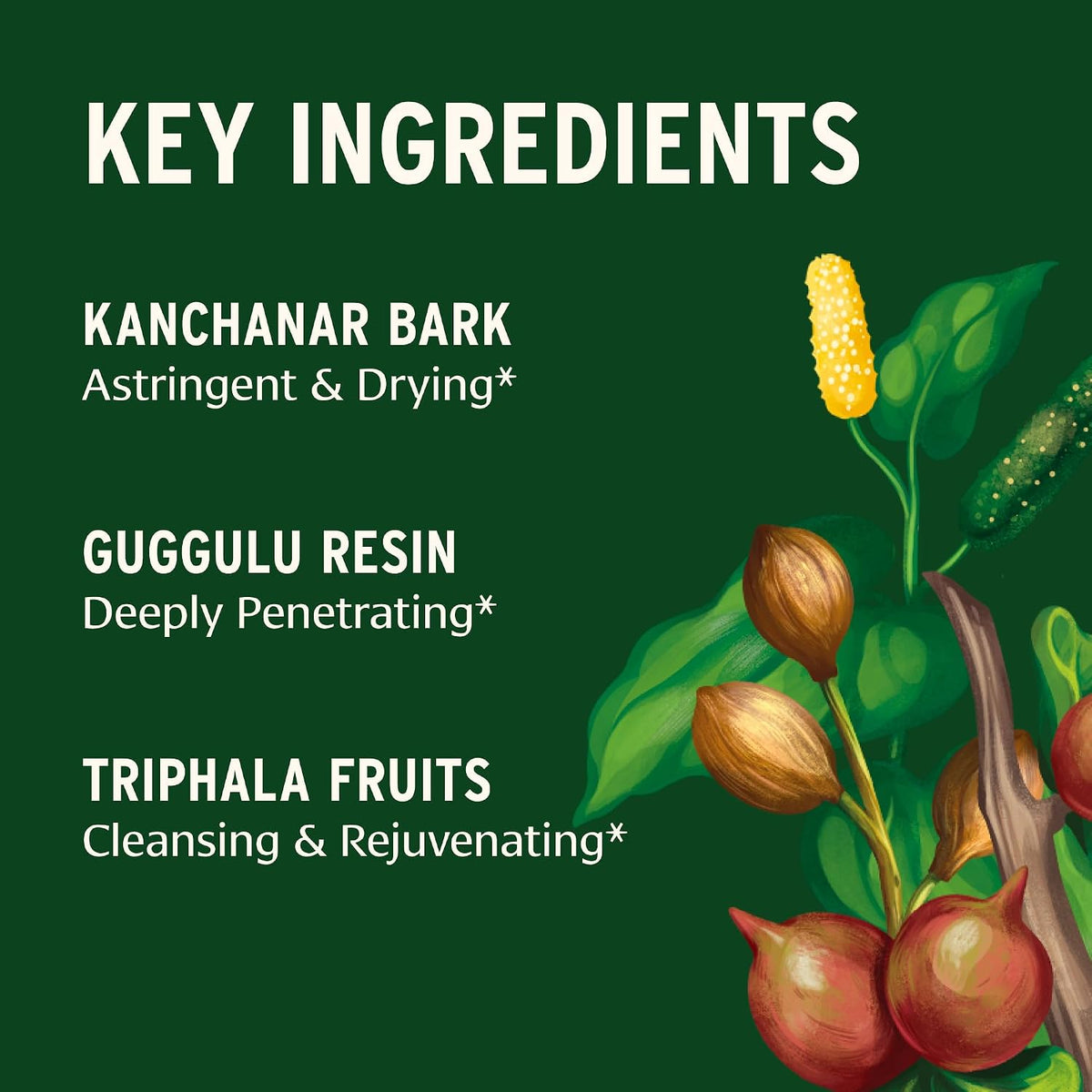 Banyan Botanicals Kanchanar Guggulu Tablets – Organic Lymph Support – 90 Tablets - görsel 3