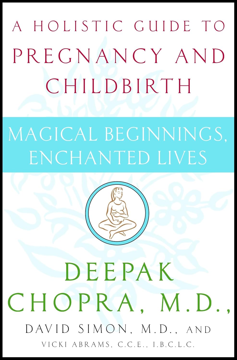 Magical Beginnings, Enchanted Lives: A Holistic Guide to Pregnancy and Childbirth