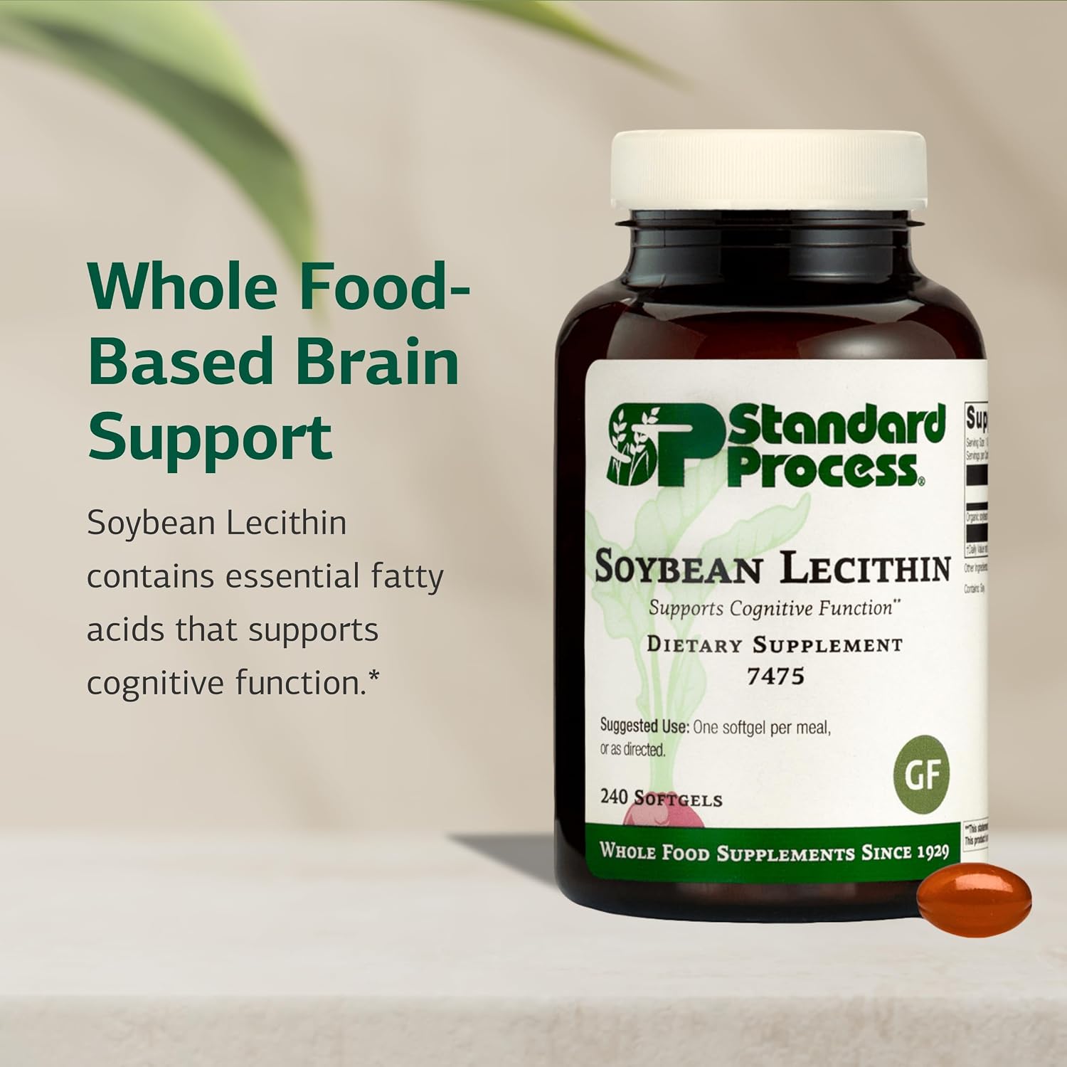 Standard Process Soybean Lecithin - Brain and Body Health Supplement - 240 Softgels