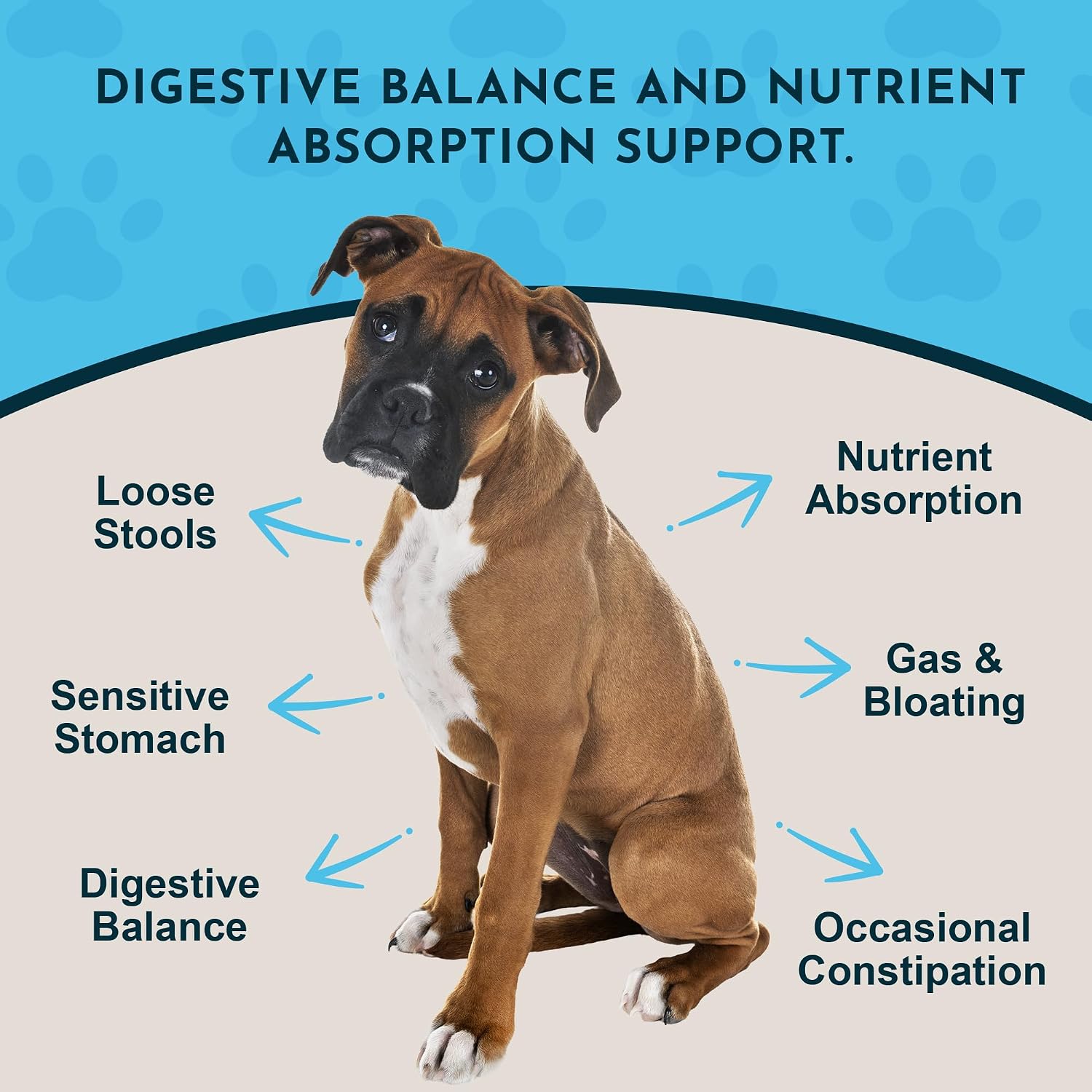Animal Essentials Plant Enzyme & Probiotics - Probiotic & Digestive Enzyme Powder for Dogs & Cats, 300 g
