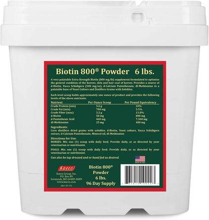 Biotin 800 Powder, 2.72 kg