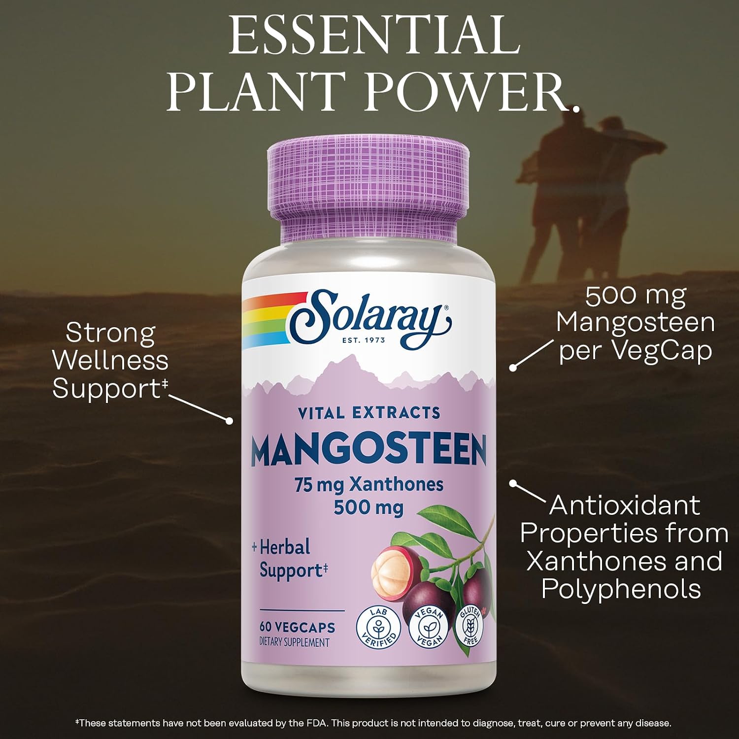 SOLARAY Vital Extracts Mangosteen 500mg - Herbal Supplement with Xanthones & Polyphenols, Vegan & Gluten-Free, 60 VegCaps