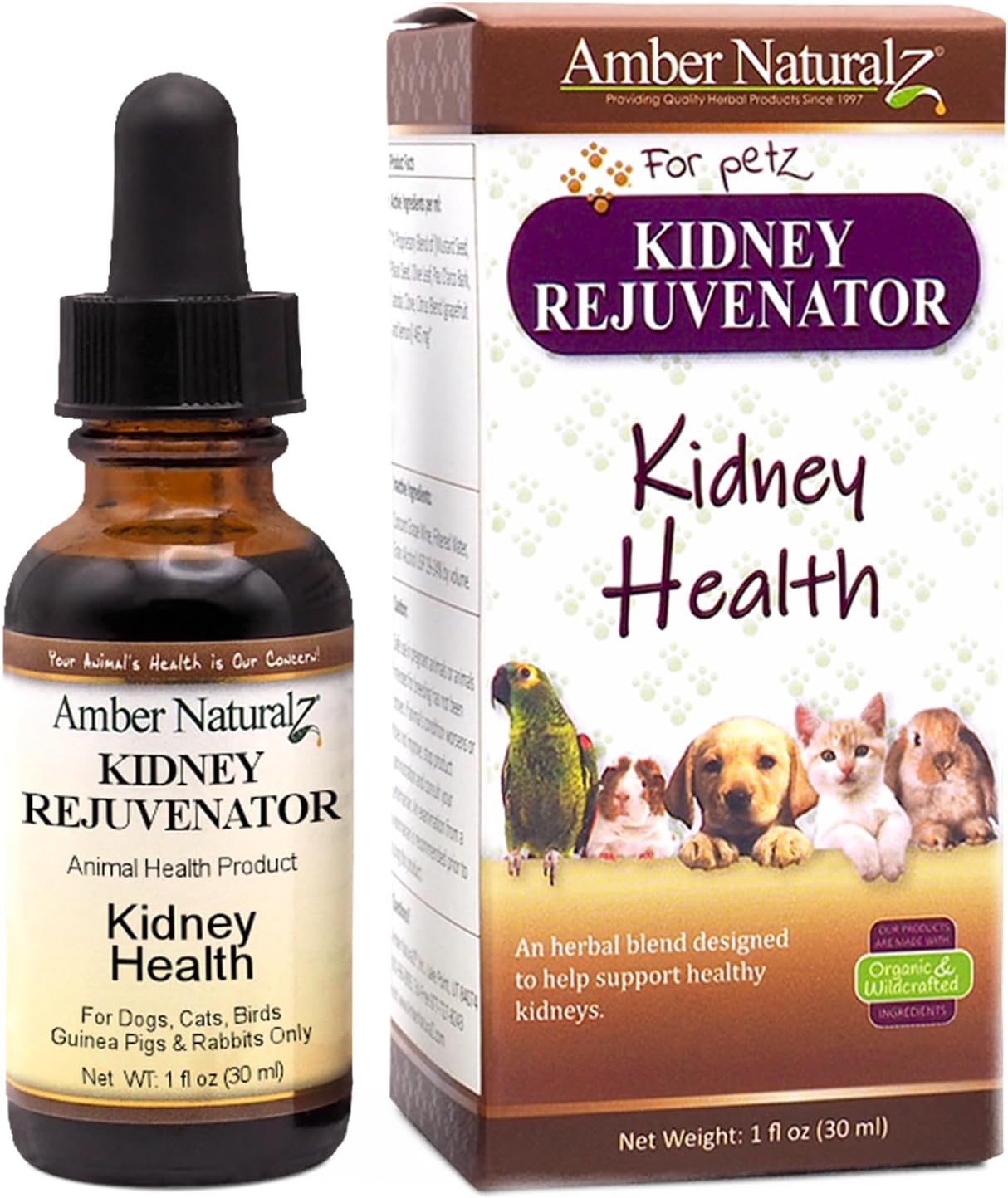 Amber NaturalZ Kidney Rejuvenator Herbal Supplement for Dogs, Cats, Birds, Rabbits, and Guinea Pigs | Supports Normal Kidney Function | Natural Aid for Kidney Health 1 Fluid Ounce - görsel 1