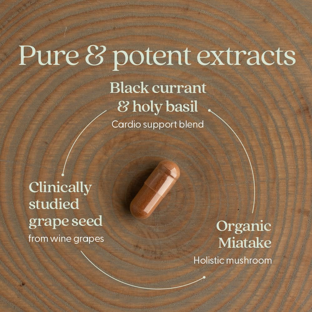 New Chapter Blood Pressure Take Care, 60 Count