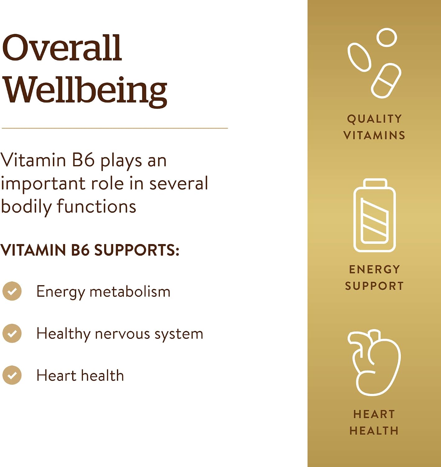 Solgar Vitamin B6 25 mg, 100 Tablets