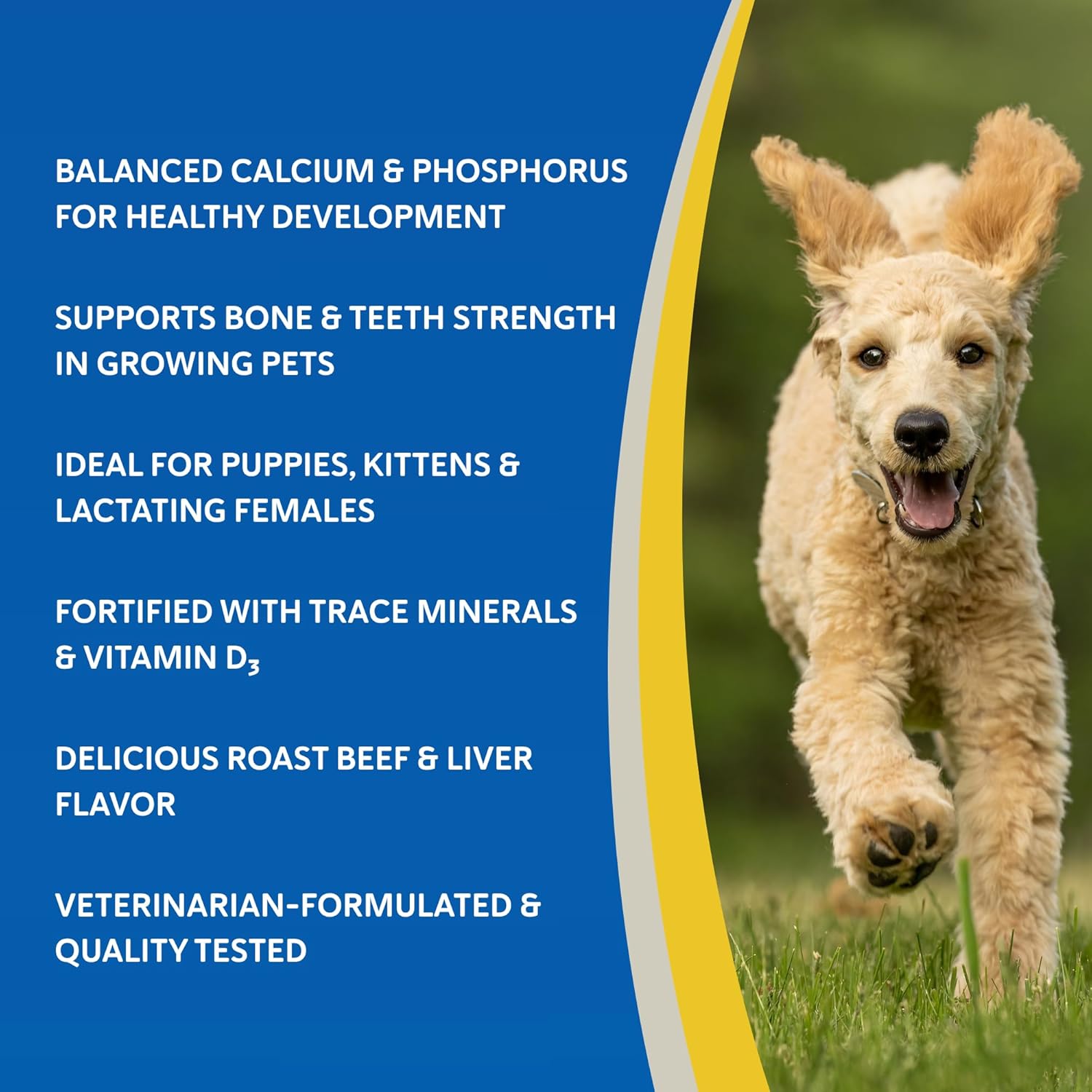 Doc Roy's Healthy Bones Calcium Phosphorus Supplement - Roast Beef & Liver Flavour, 100 Chewable Tablets