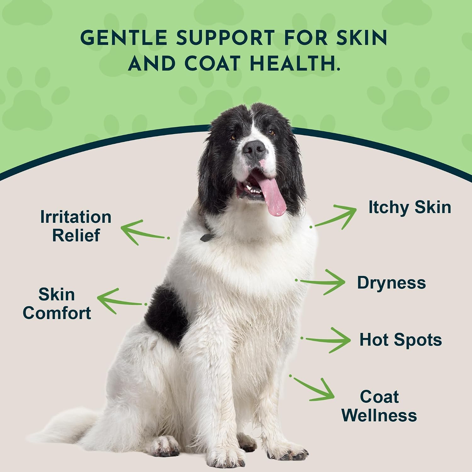 Animal Essentials Fido-Derm Herbal Skin Spray for Dogs, Cats & Horses – Natural Itch Relief & Hot Spot Care, 118 mL