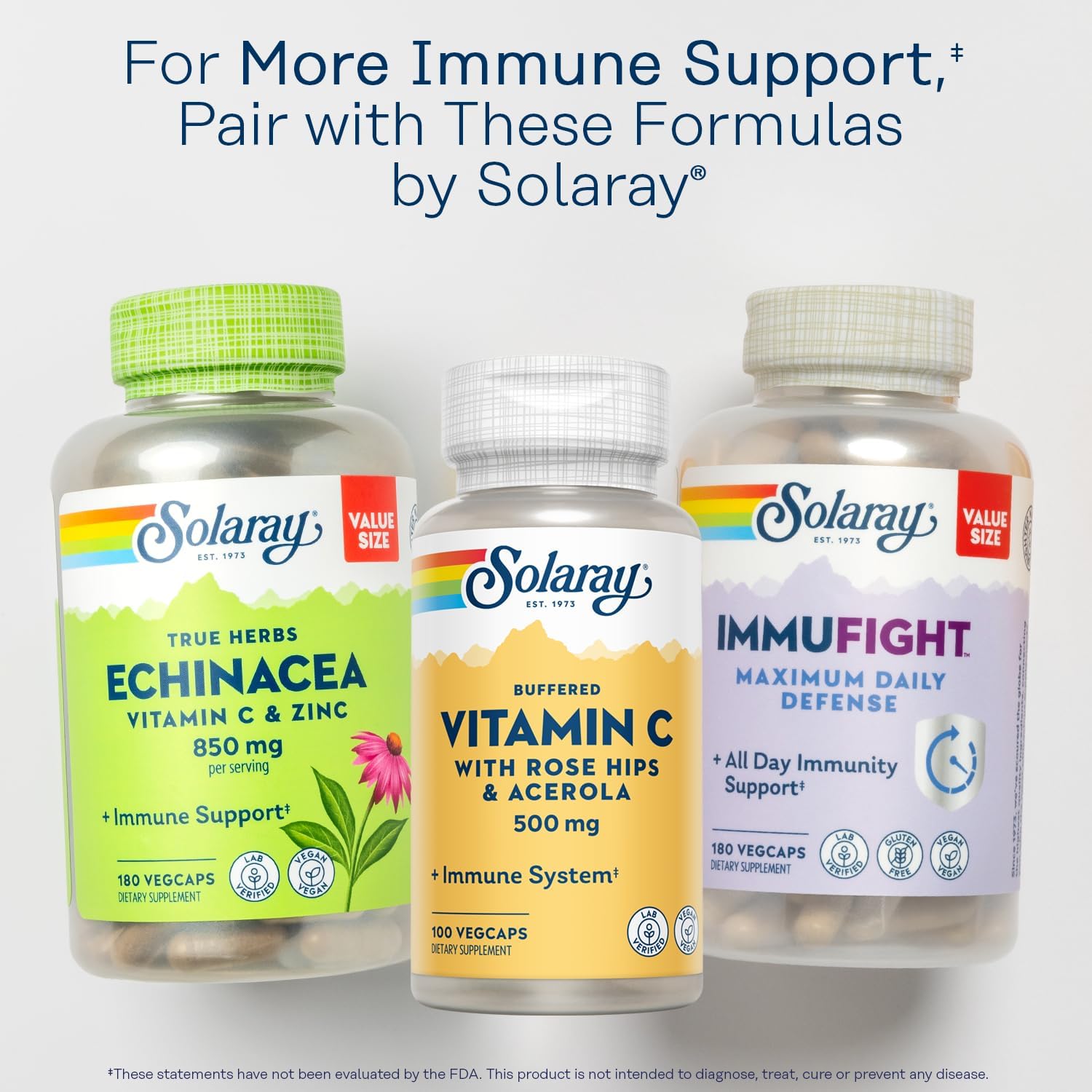 SOLARAY Buffered Vitamin C 500 mg plus Rose Hips and Acerola - Immune Support Supplement - 100 VegCaps