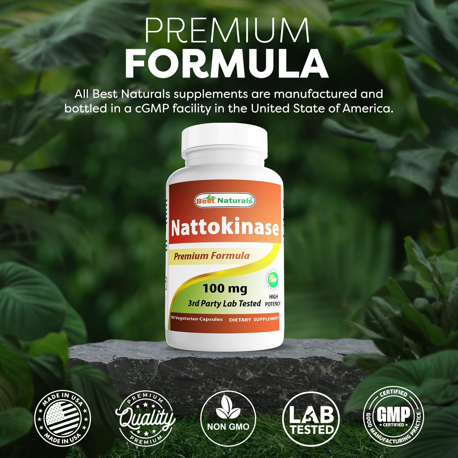 Best Naturals Nattokinase 2000 FU, 100 mg, 90 Vegetarian Capsules