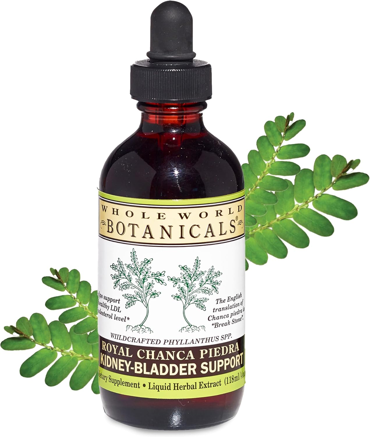 Whole World Botanicals Royal Chanca Piedra – Kidney & Bladder Support – Liquid Extract 4 oz (118 mL)