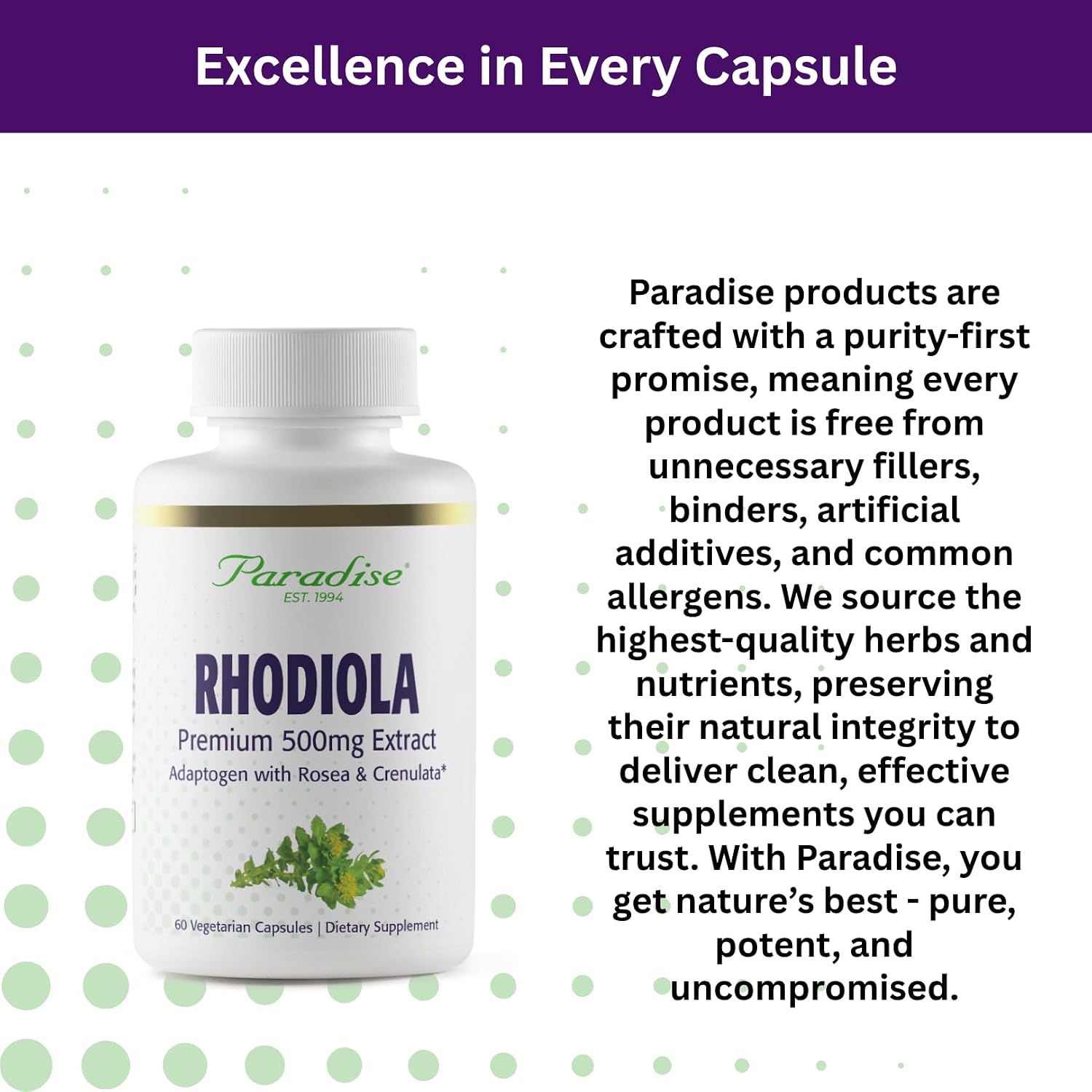 Paradise Herbs Rhodiola Extract 500 mg, Super Potent Antioxidant, Ultra-Pure, Vegan, Non-GMO, Gluten-Free, 60 Vegetarian Capsules