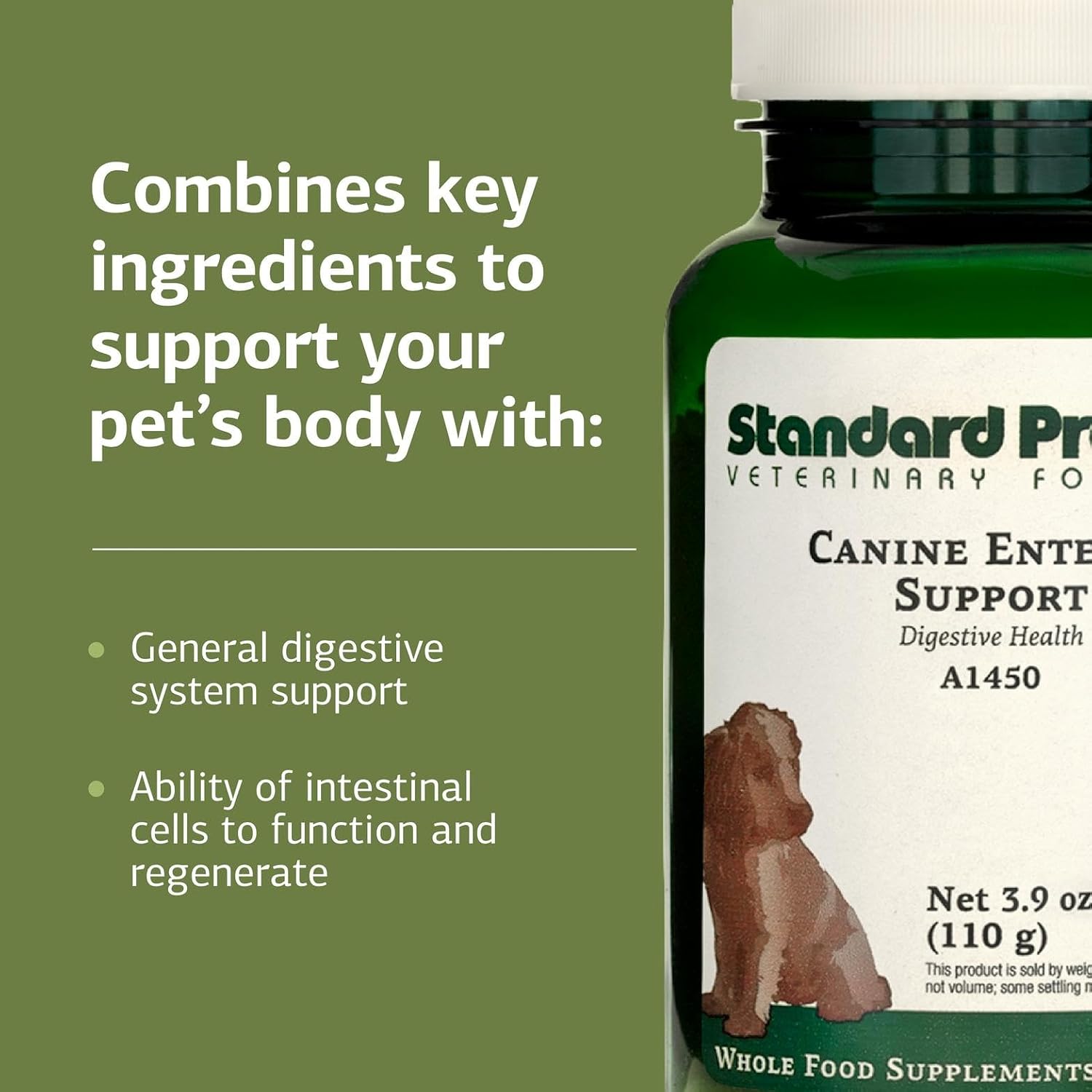 Standard Process Canine Enteric Support – Digestive Supplement for Dogs