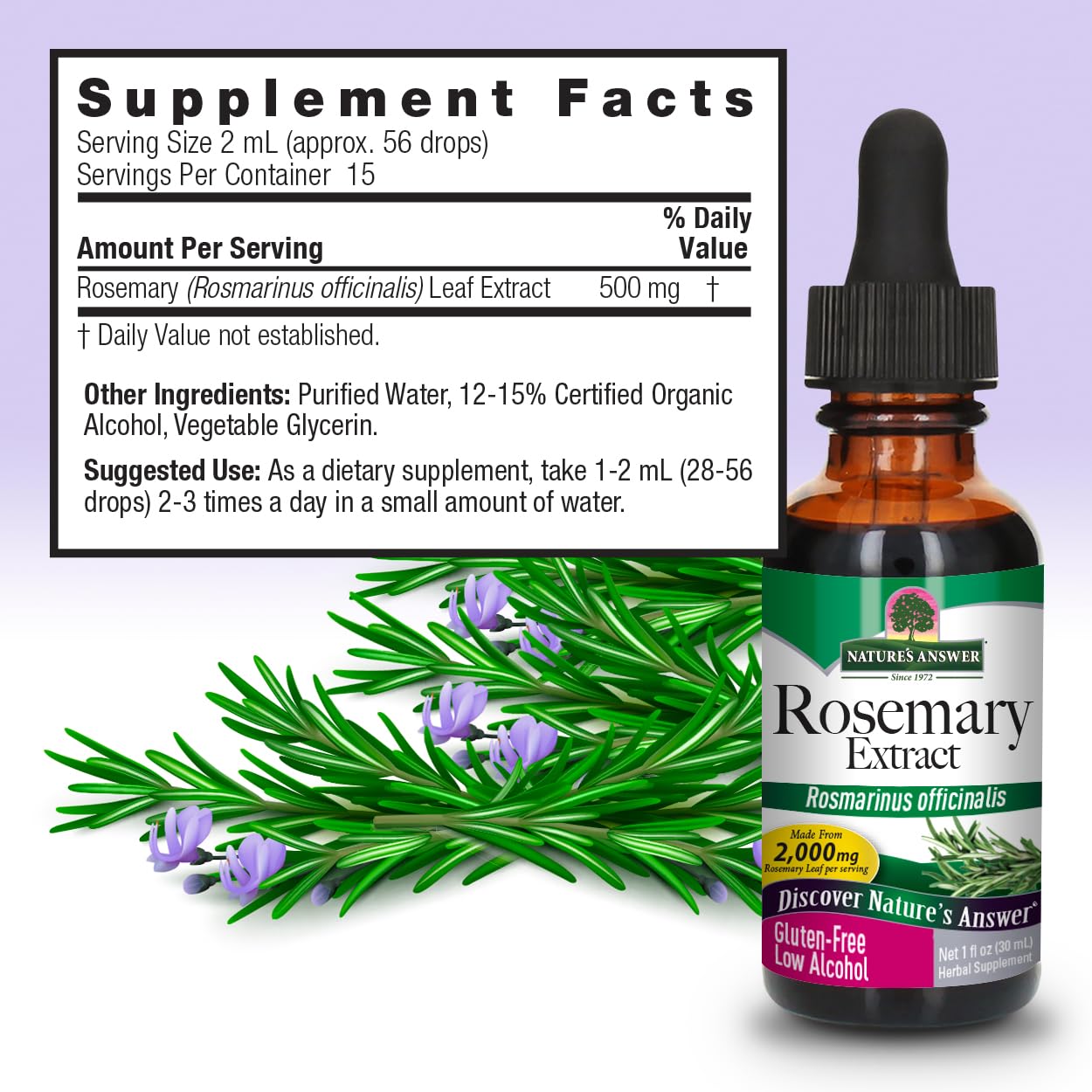 Nature's Answer Rosemary Leaf Liquid Extract with Organic Alcohol, 30 mL