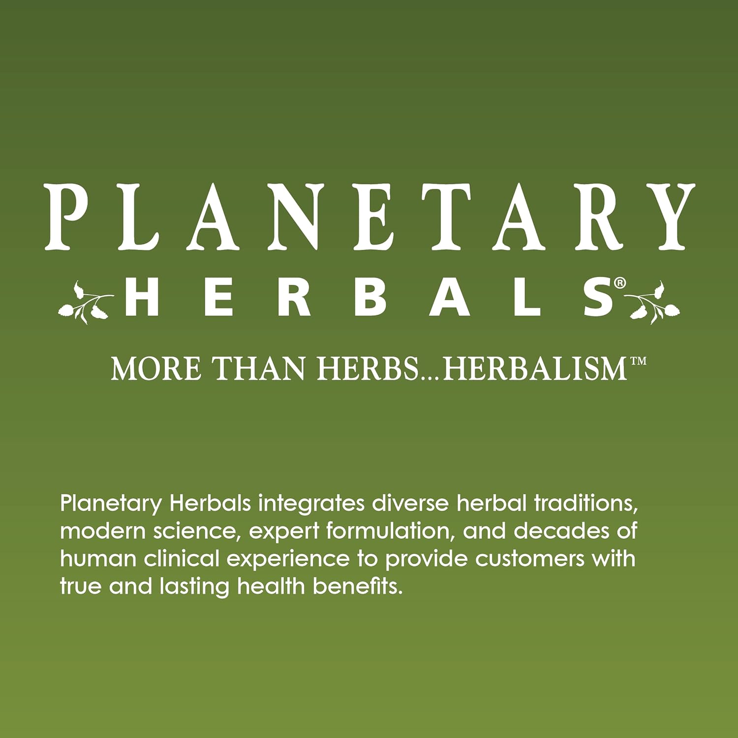 Planetary Herbals Andrographis Respiratory Wellness 895 mg – Supports Healthy Immunity, 240 Tablets