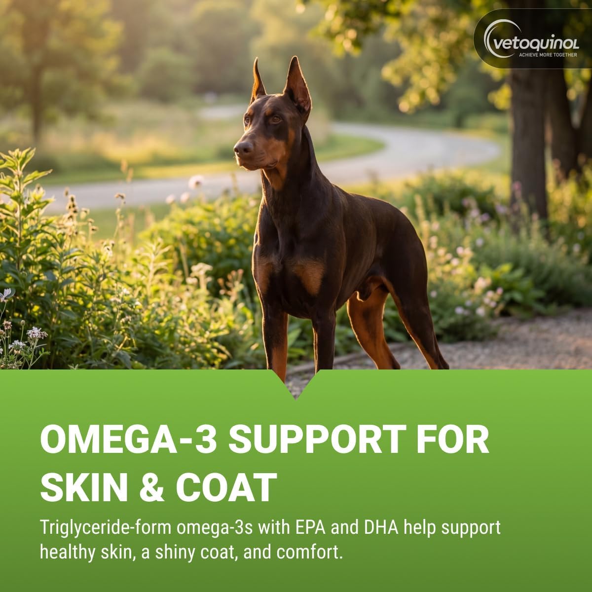 Vetoquinol Triglyceride Omega – Fish Oil for Dogs & Cats, 60 Softgels