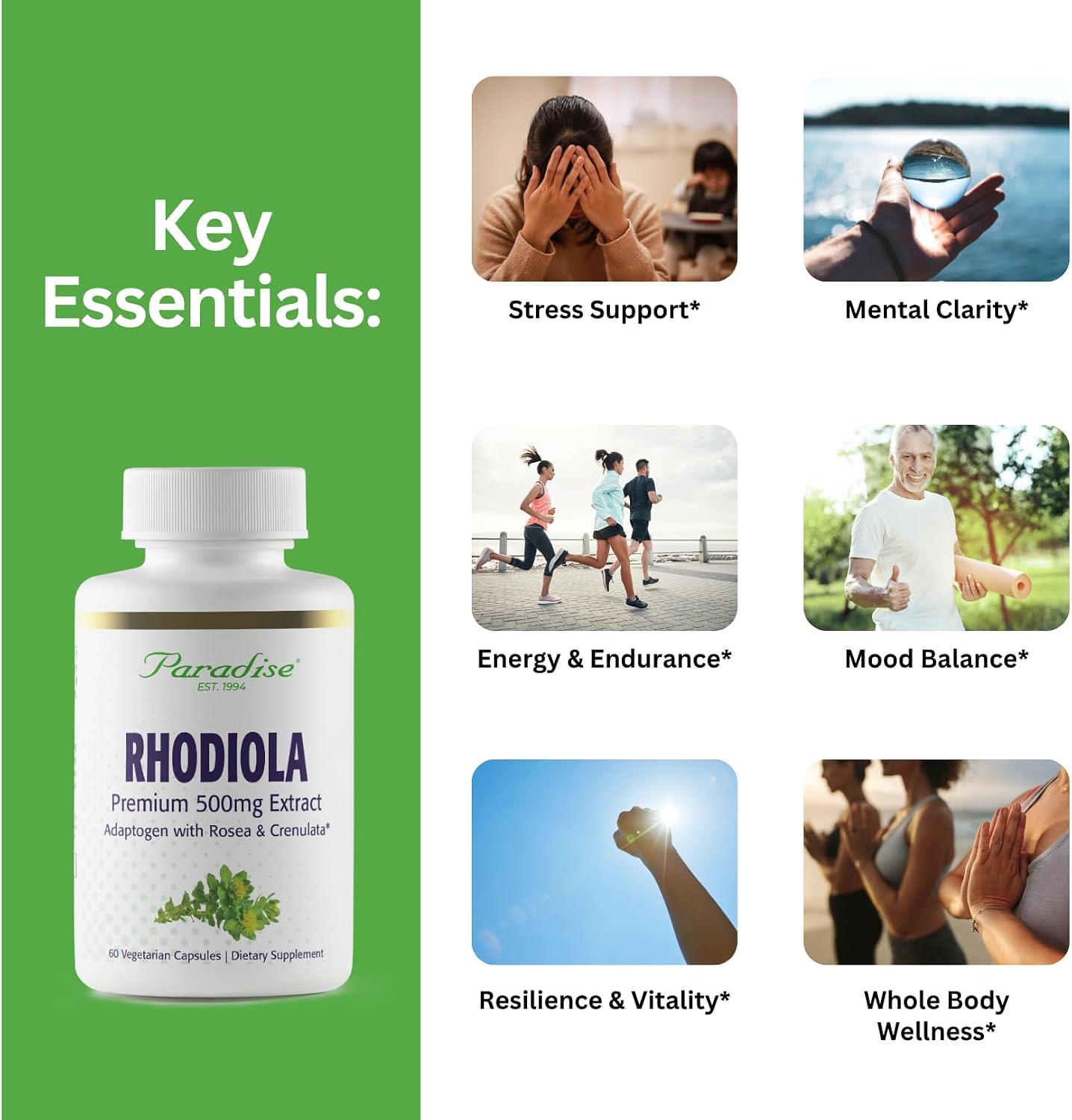 Paradise Herbs Rhodiola Extract 500 mg, Super Potent Antioxidant, Ultra-Pure, Vegan, Non-GMO, Gluten-Free, 60 Vegetarian Capsules