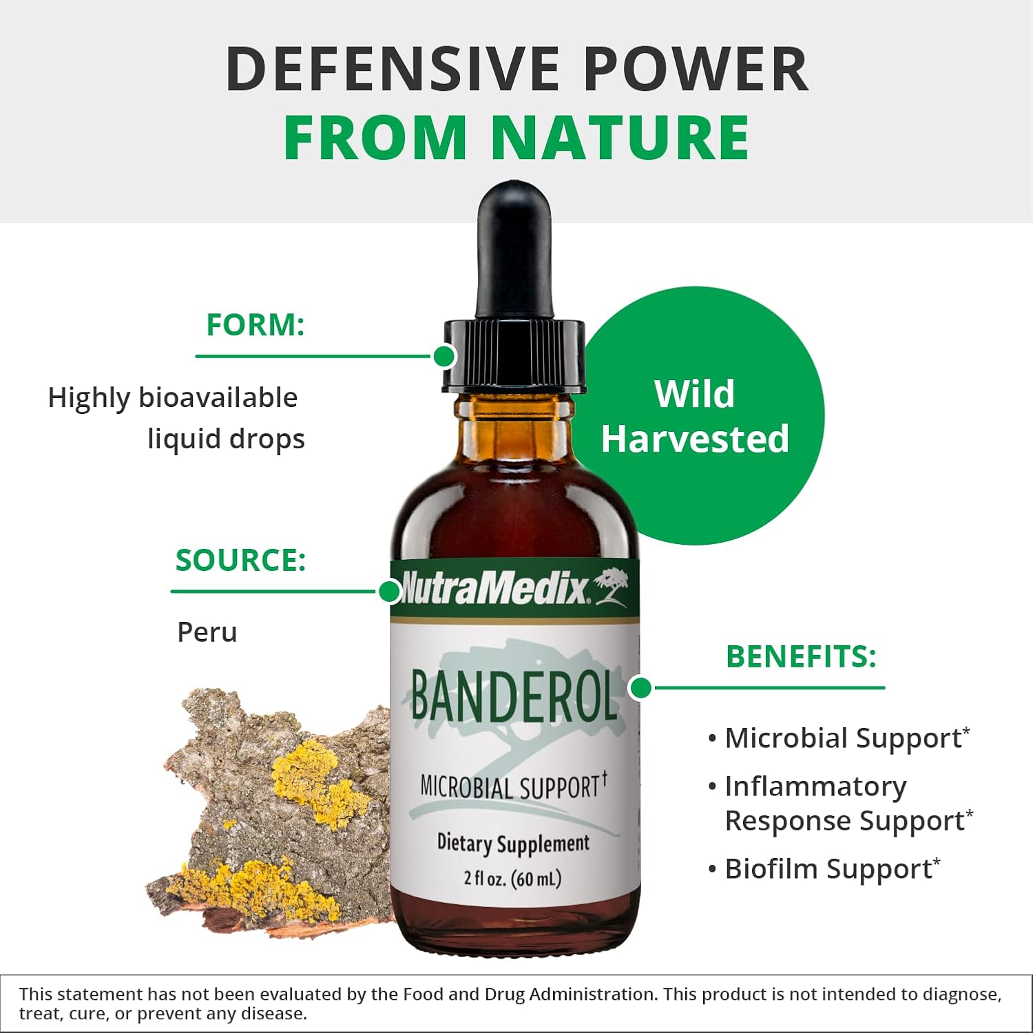 NutraMedix Banderol - Daily Immune Support Supplement - Vegan Tincture - 30 mL (1 fl oz)