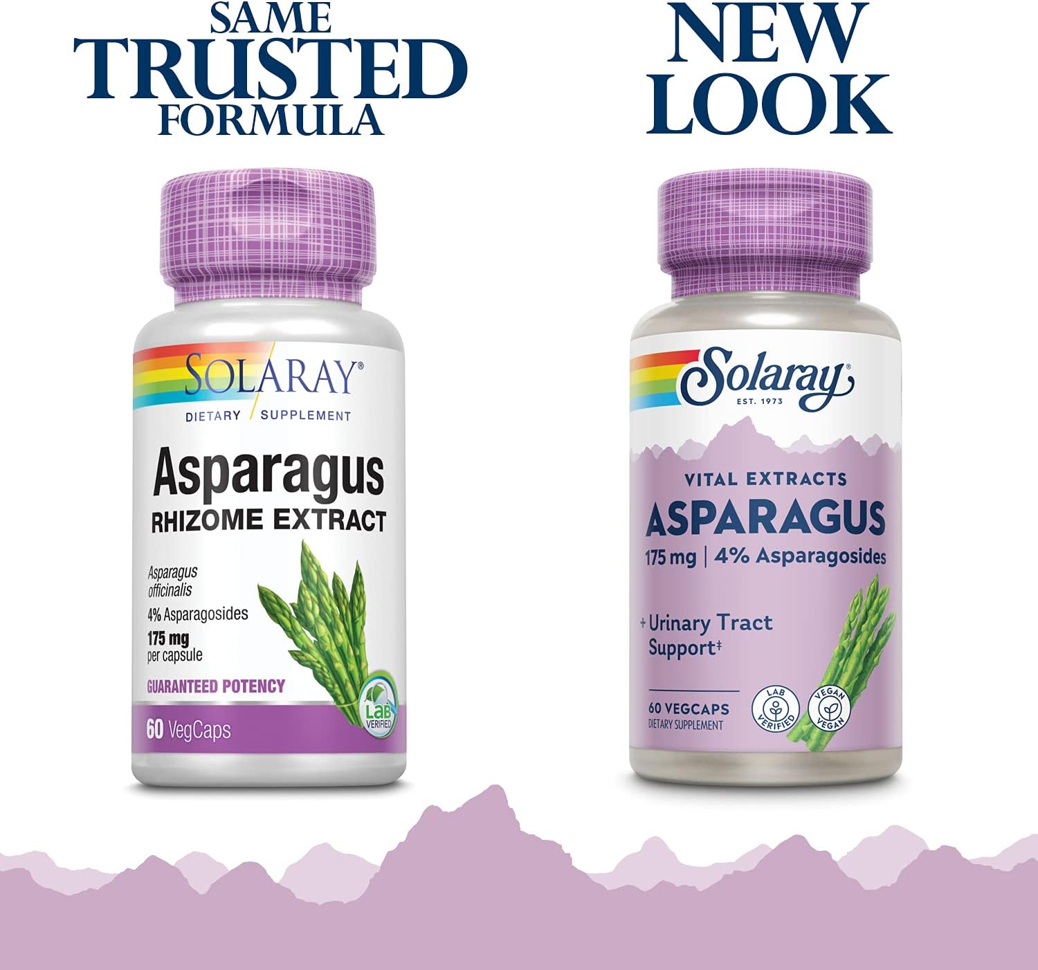 SOLARAY Asparagus 175 mg - Urinary Tract & Digestive Health Support, 60 Vegetarian Capsules