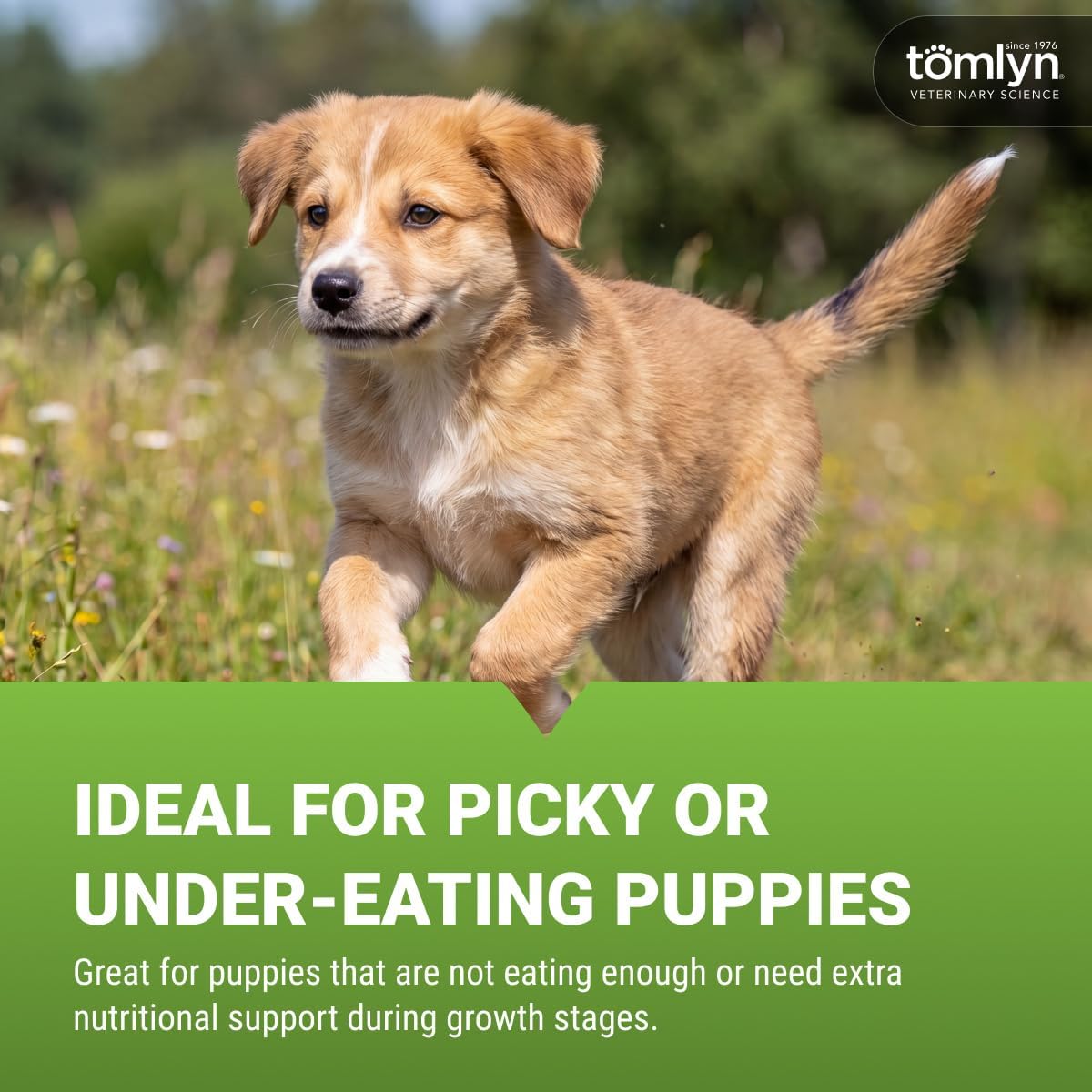 Tomlyn Nutri-Cal High Calorie Nutritional Gel for Puppies, 120 g