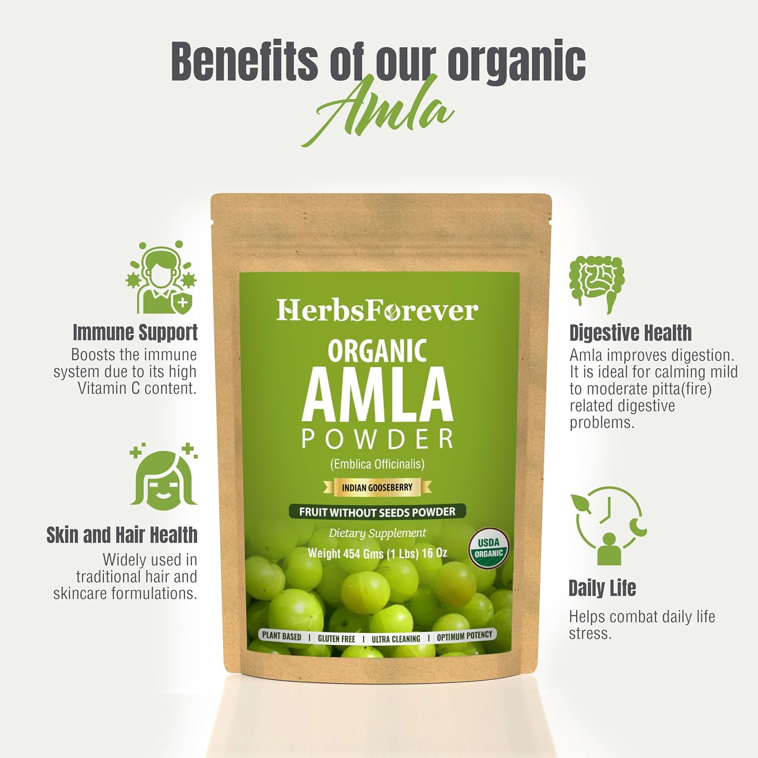 Herbsforever Amla Fruit Powder – Indian Gooseberry, Wild Harvested, Non-GMO, Vegan, Steam Sterilized, 2X Potency – 454 g (1 lb) – BPA Free