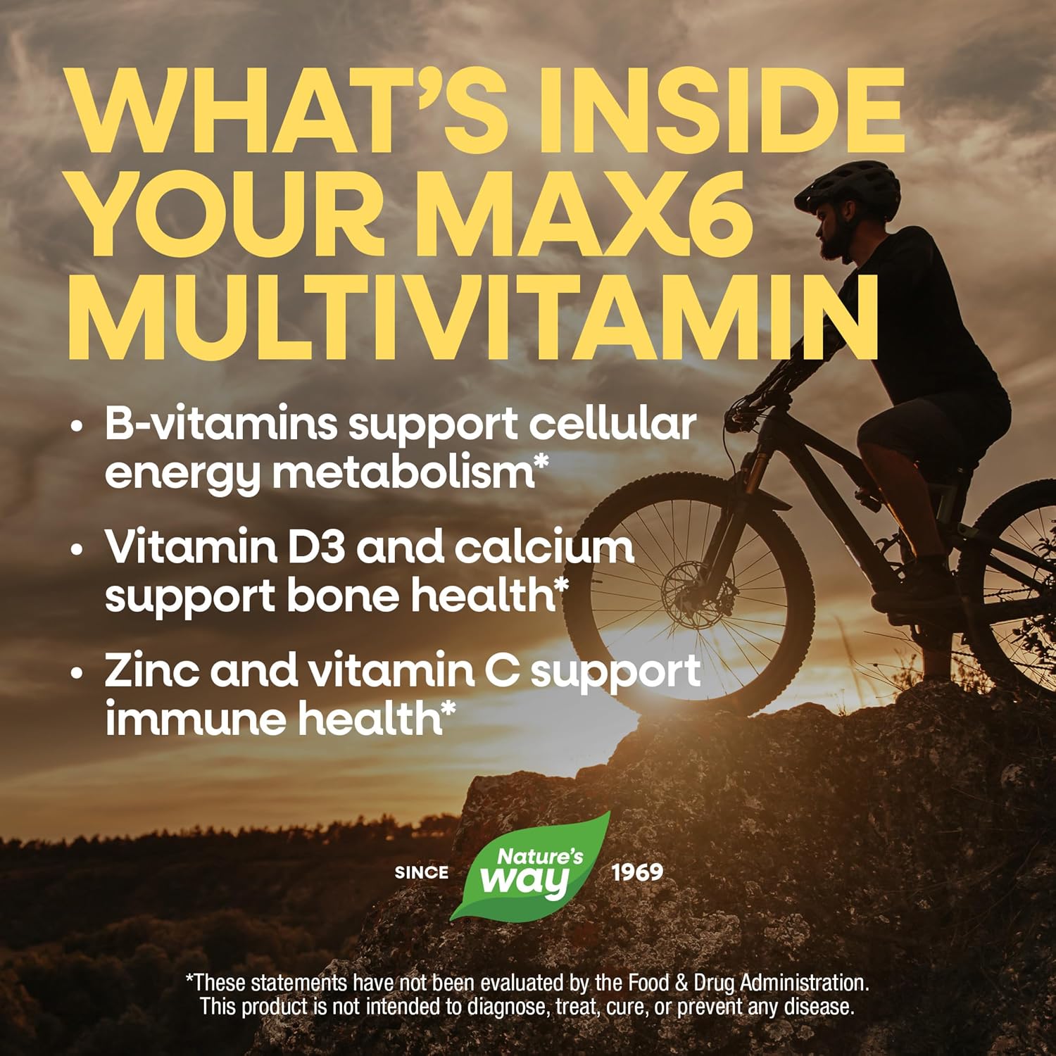 Nature's Way Alive! Max6 Potency Adult Complete Multivitamin with Iron, Methylated B12 & Folate, 90 Capsules