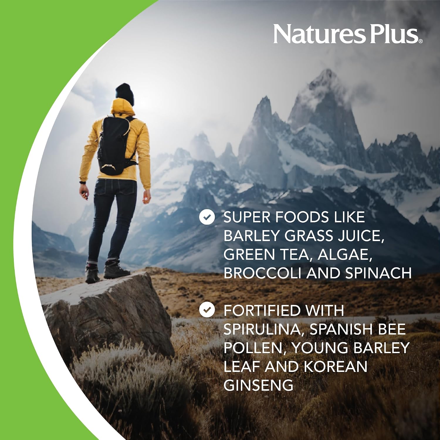NaturesPlus FRUITEIN Revitalizing Green Foods Shake – Plant-Based Protein & Superfood Mix, 590 g (16 Servings)