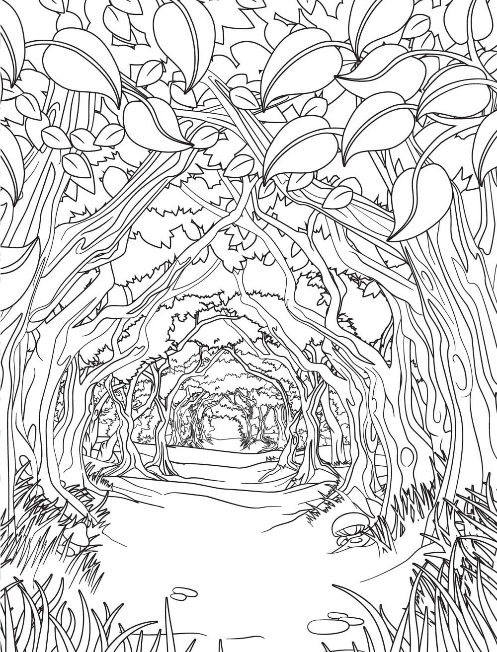Healing Vibes: Colouring for Calm (Dover Adult Colouring Books)