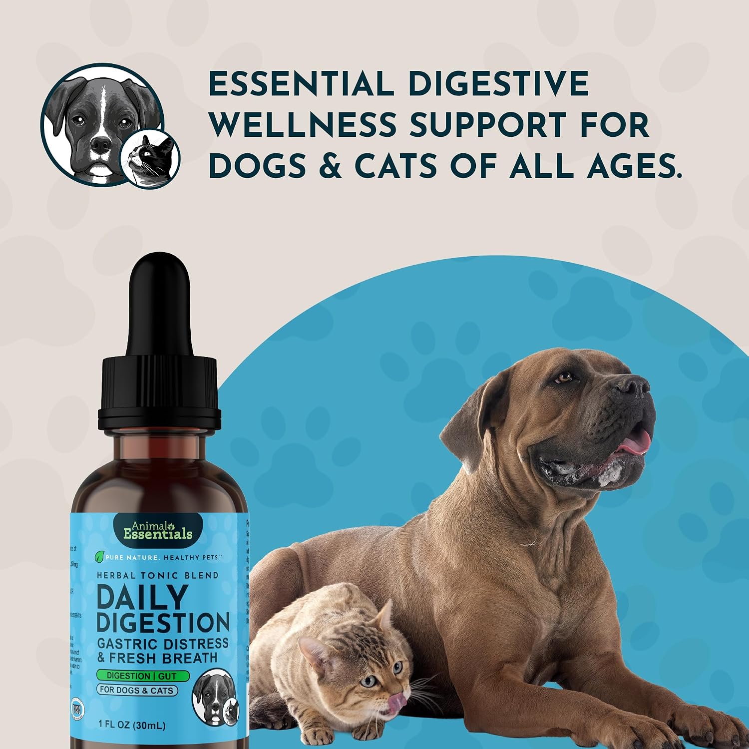 Daily Digestion 30 mL