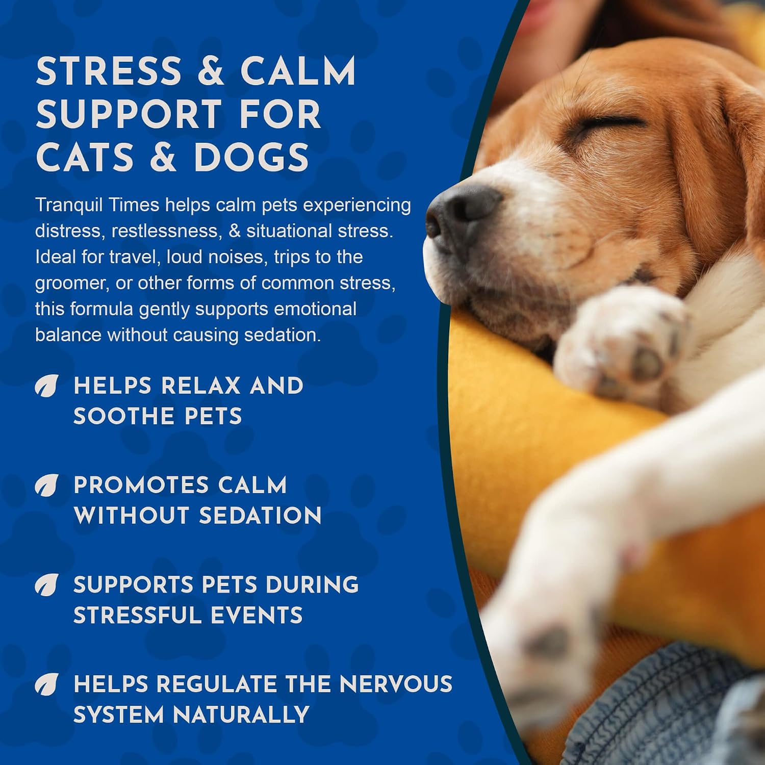 Tranquility Blend – Organic Valerian Root Calming Drops for Dogs and Cats