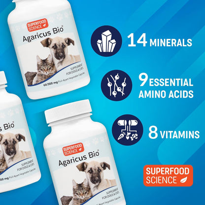 Agaricus Bio 300mg for Dogs and Cats – Beta Glucan Mushroom Pet Supplement, 60 Capsules