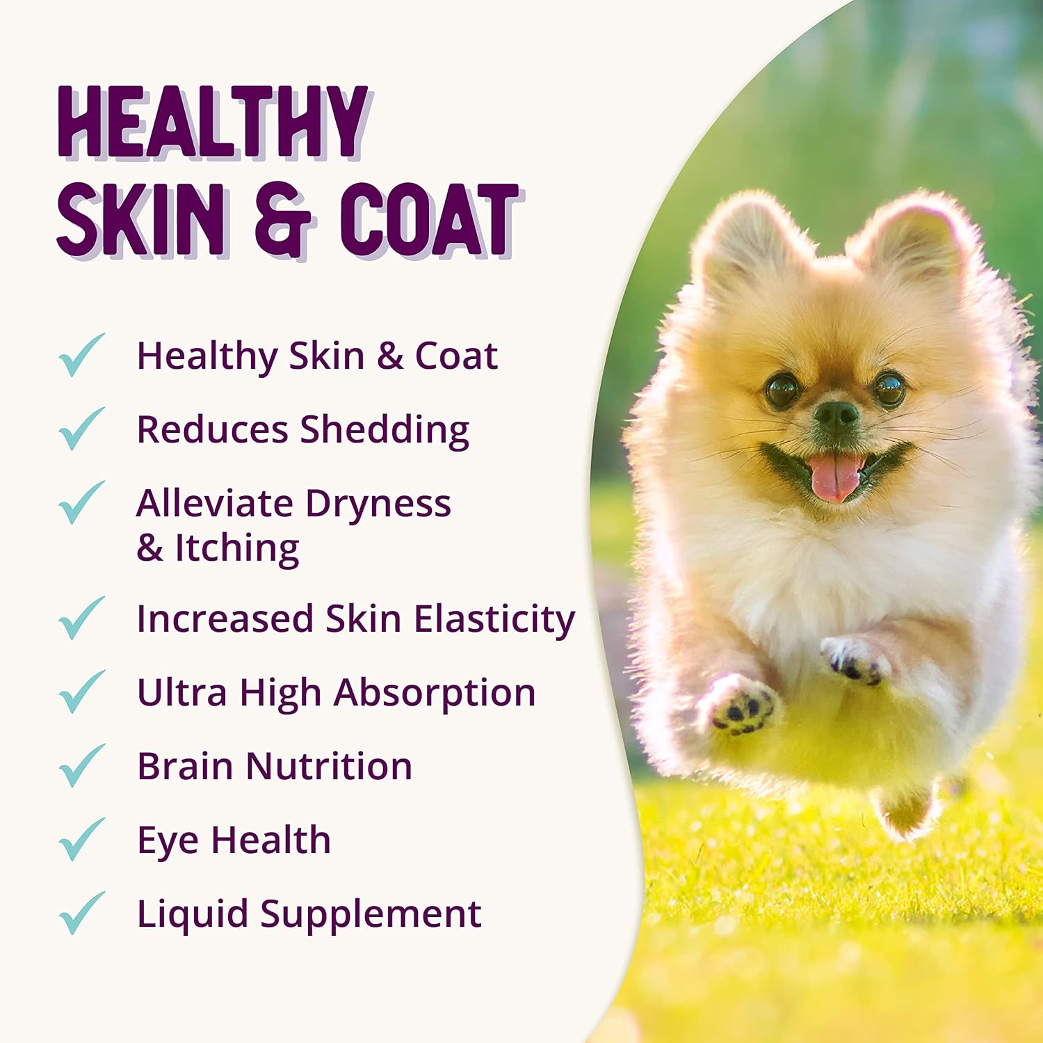 Health Extension Skin & Coat Supplement for Dogs & Puppies, 16 oz (473 mL)
