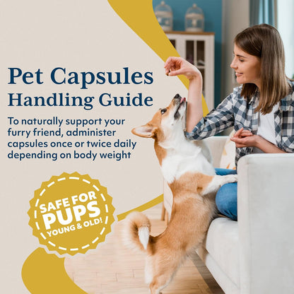 Ayush Pet Neem Plus – Neem Supplement for Dogs & Cats, 90 Capsules