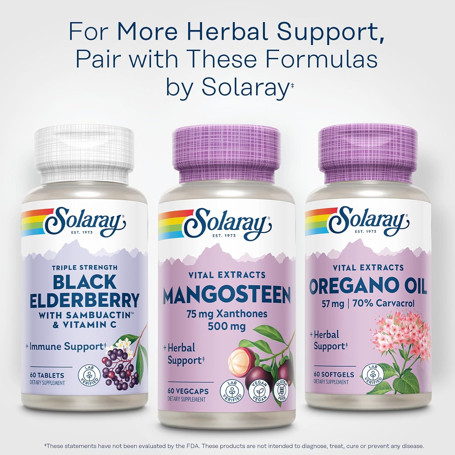 SOLARAY Vital Extracts Mangosteen 500mg - Herbal Supplement with Xanthones & Polyphenols, Vegan & Gluten-Free, 60 VegCaps