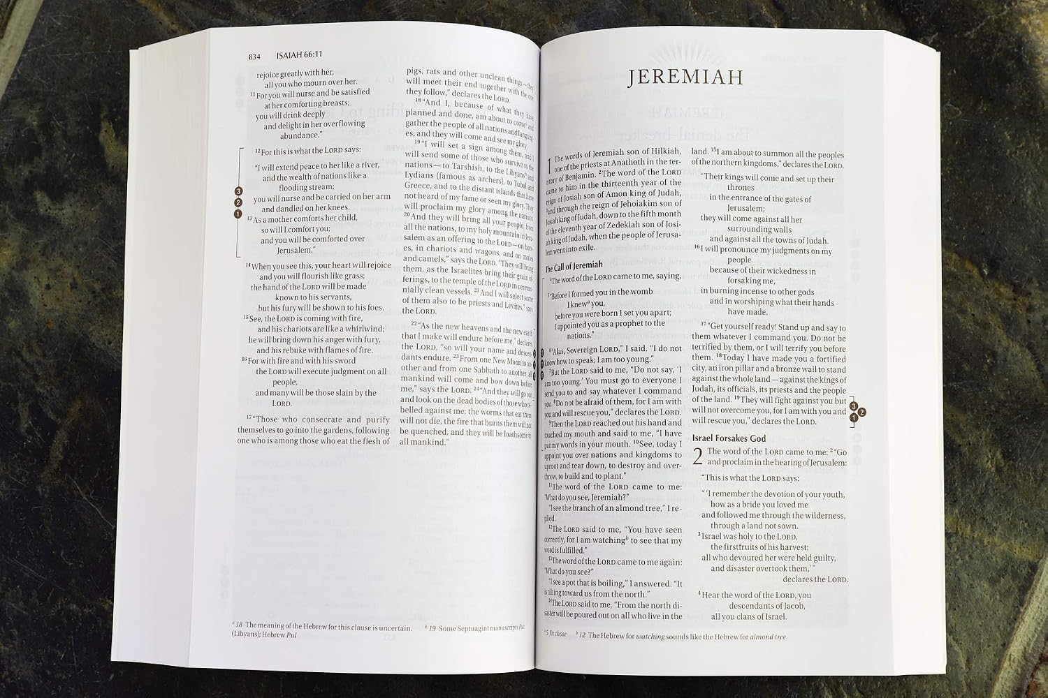 NIV Recovery Devotional Bible, Paperback