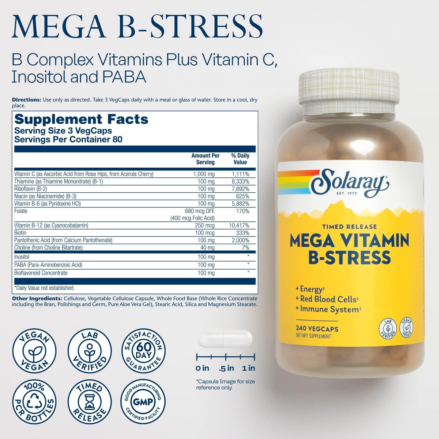 SOLARAY Mega Vitamin B-Stress - Timed-Release Vitamin B Complex with Vitamin B12, B6, Folic Acid, and Vitamin C - Vegan, 240 Count