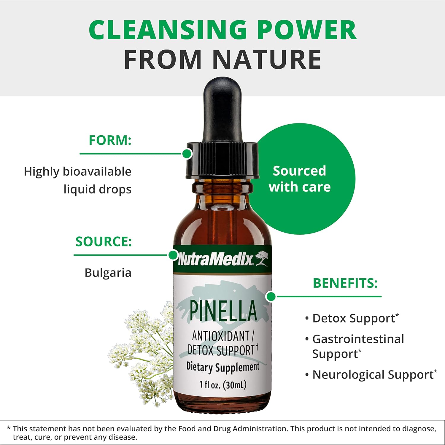 NutraMedix Pinella - Liquid Anise Drops for Brain Health Support (30 ml)