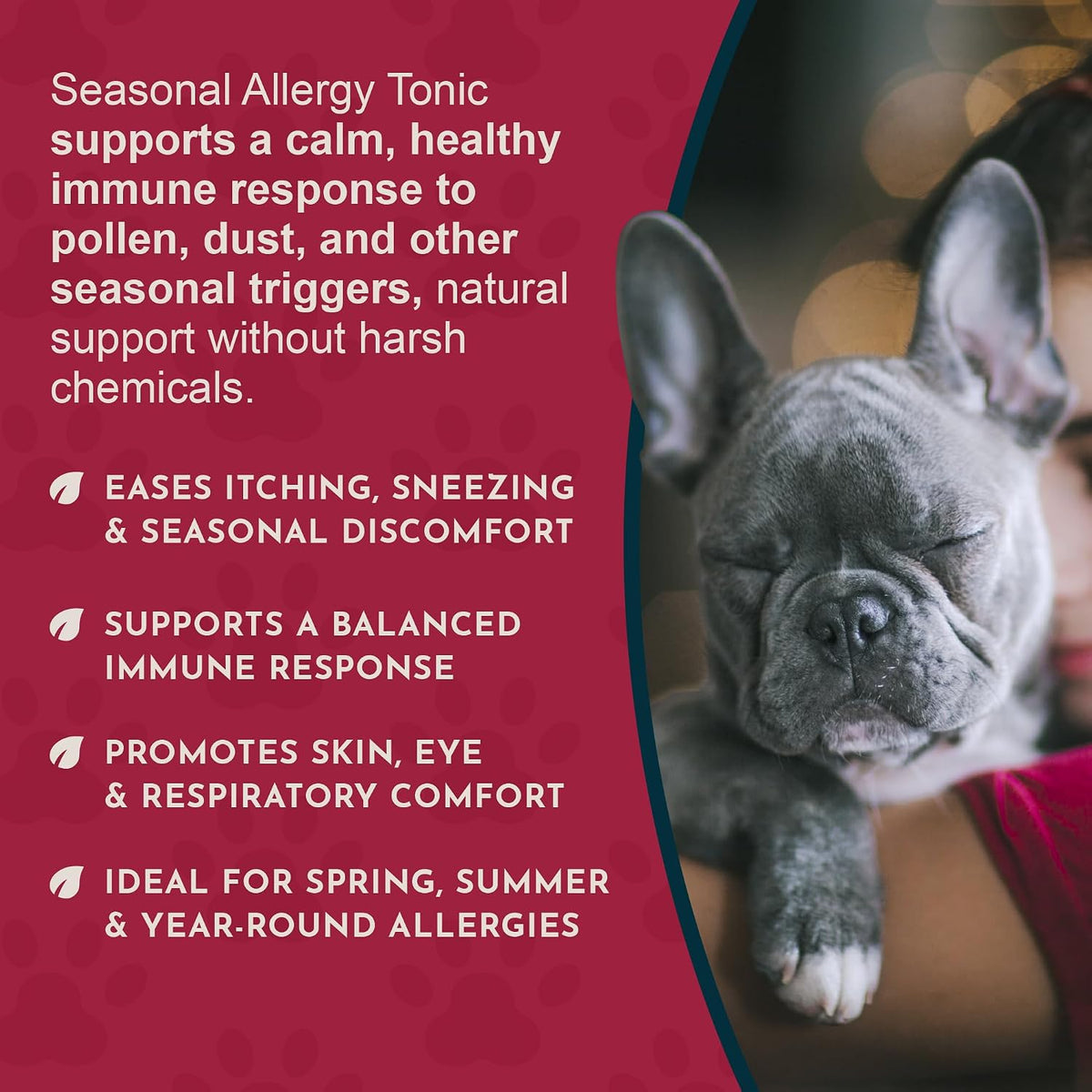 Animal Essentials Seasonal Allergy Liquid Herbal Support for Dogs & Cats – 30 mL - görsel 5