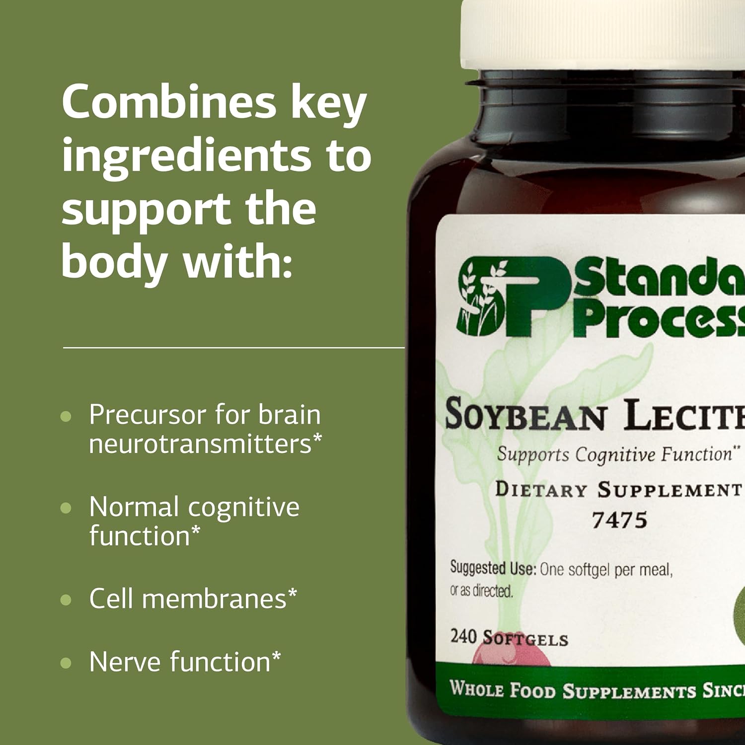 Standard Process Soybean Lecithin - Brain and Body Health Supplement - 240 Softgels