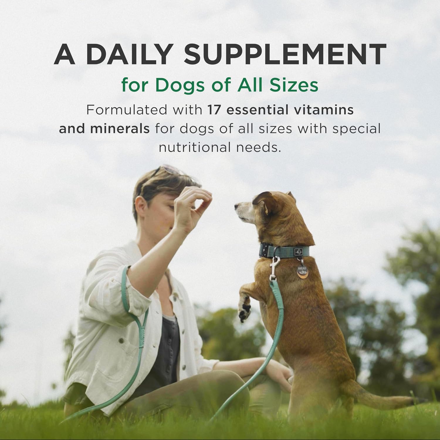 Pet-Tabs Multivitamin and Mineral Supplement for Dogs, Chewable Tablets, 60 Count