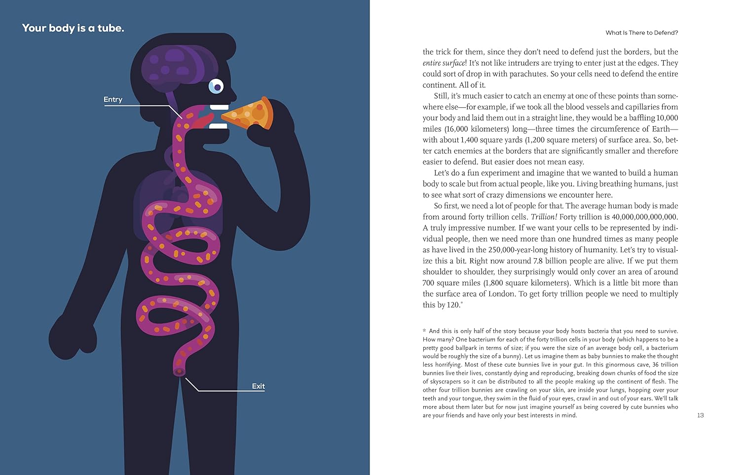 Immune: A Journey into the Hidden System That Keeps You Alive