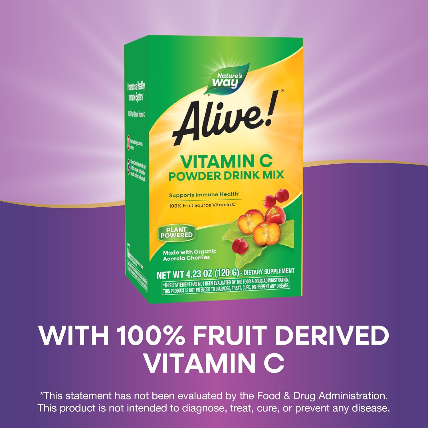 Nature's Way Alive! Vitamin C Powder Drink Mix - Organic Acerola Cherry - Immune Support - 120 g