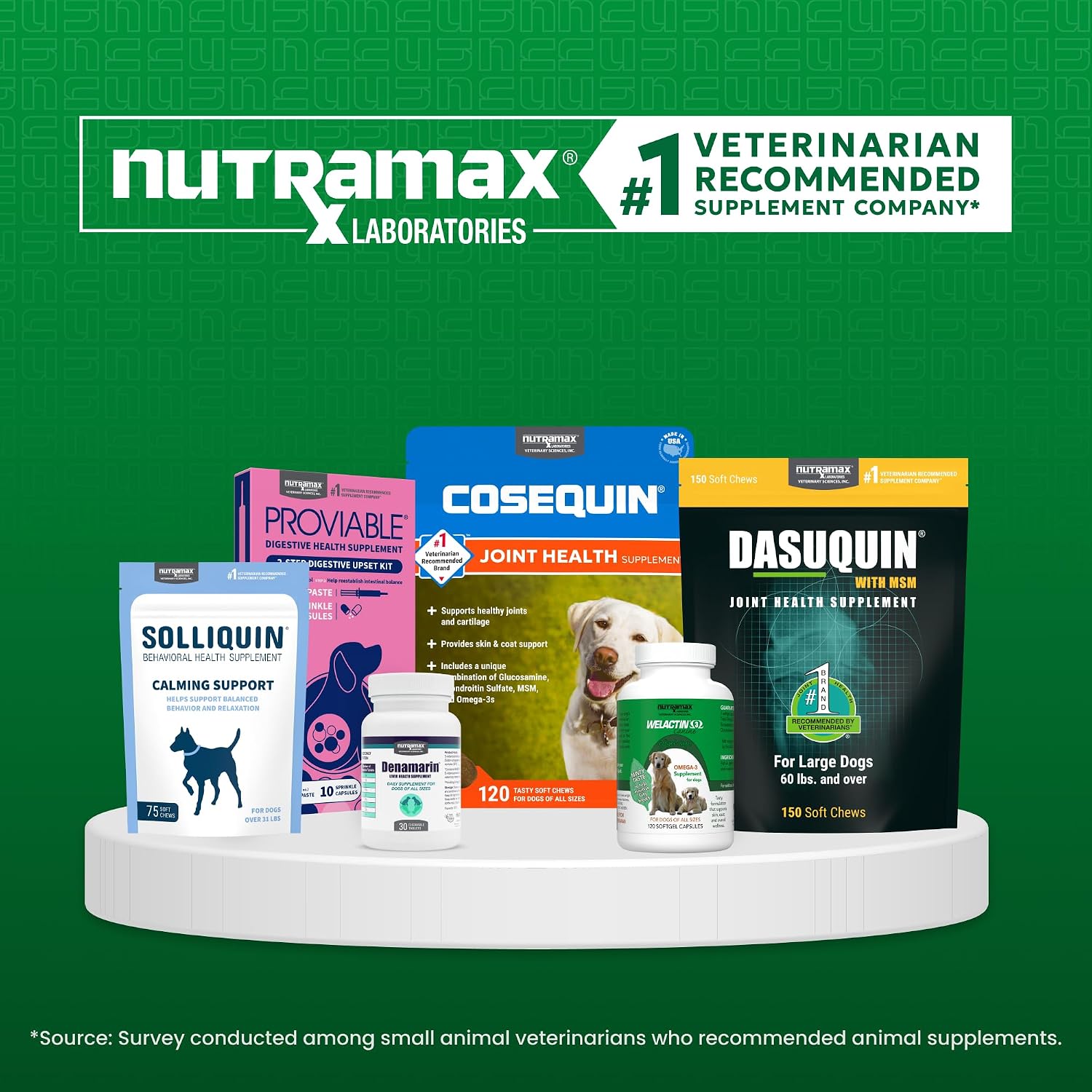 Nutramax Welactin Omega-3 Fish Oil for Dogs – 16 oz Liquid