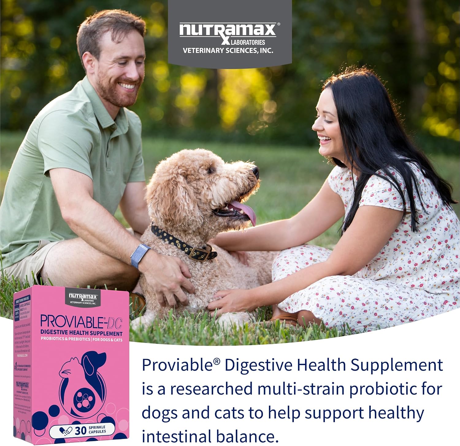 Nutramax Proviable Probiotics for Dogs and Cats – Daily Digestive Health Supplement, 30 Capsules