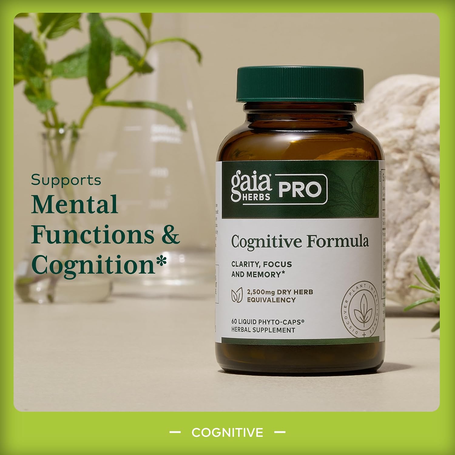 GAIA HERBS PRO Cognitive Formula – Brain Health & Blood Flow Support with Fo-Ti Root, Ginkgo Leaf, & Gotu Kola Leaf – 60 Liquid Phyto-Caps (30 Servings)