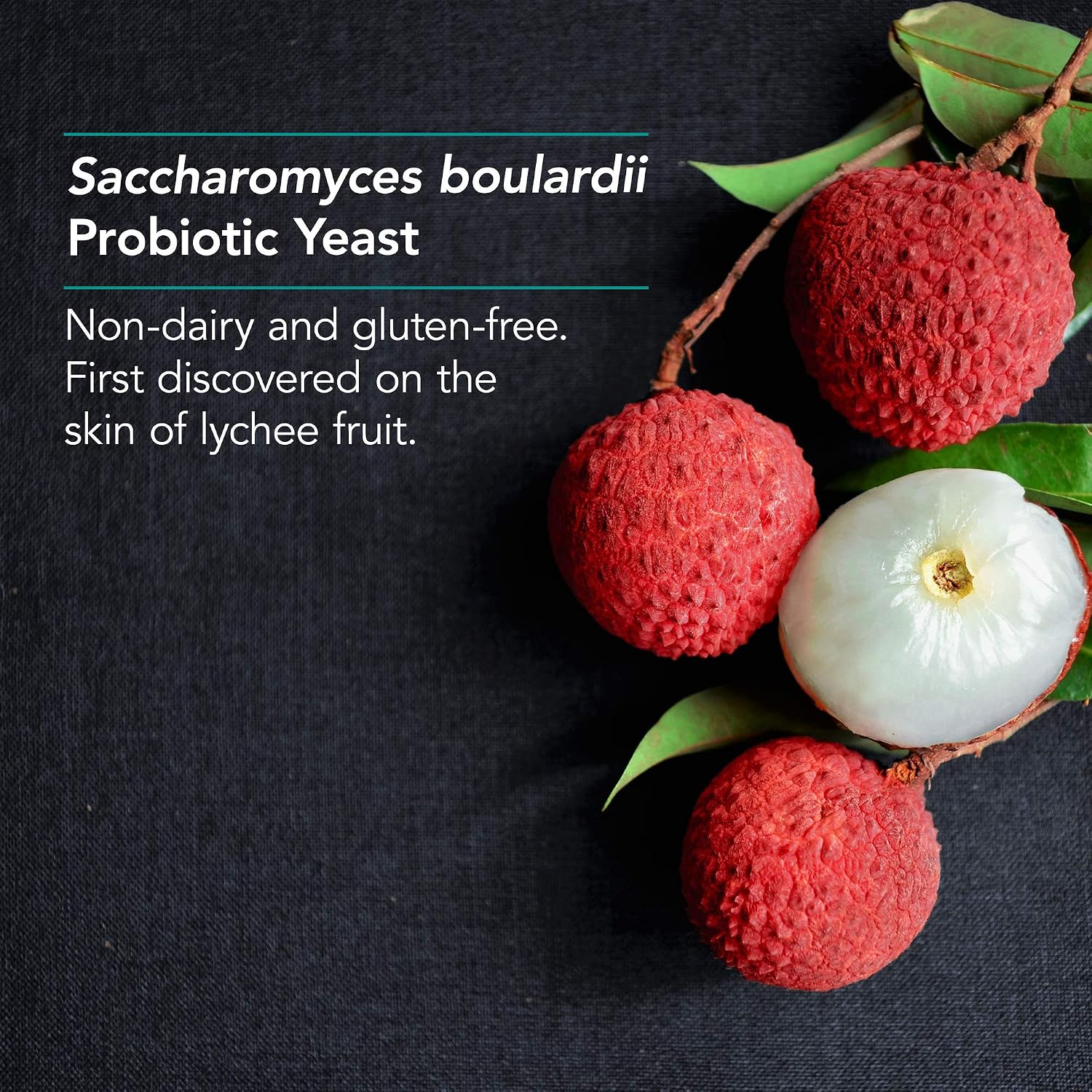 Nutricology Saccharomyces Boulardii Probiotic Supplement - 450 mg, 600 Capsules