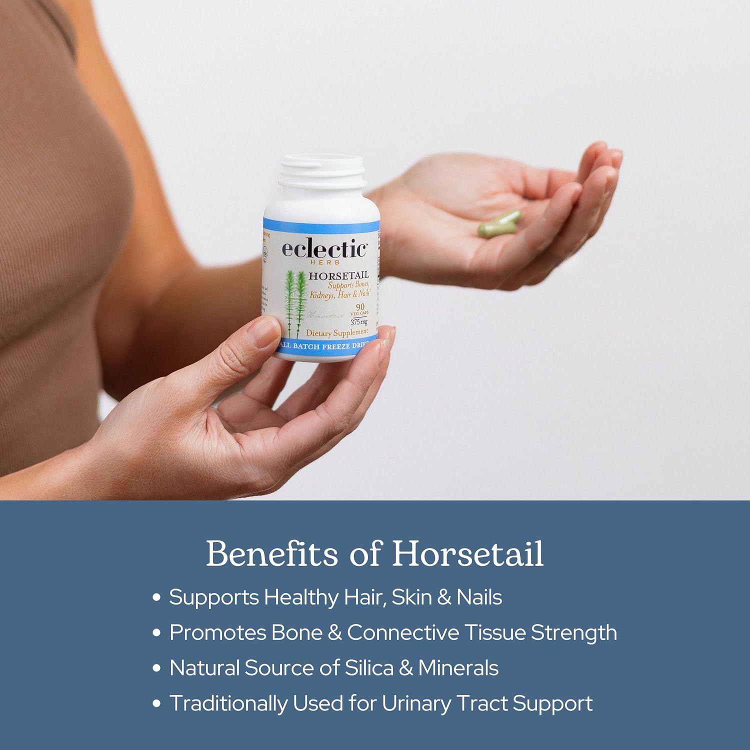 Eclectic Herb Horsetail Capsules - Mineral and Nutritional Support for Hair, Skin, and Nails, Freeze-Dried, 90 Capsules
