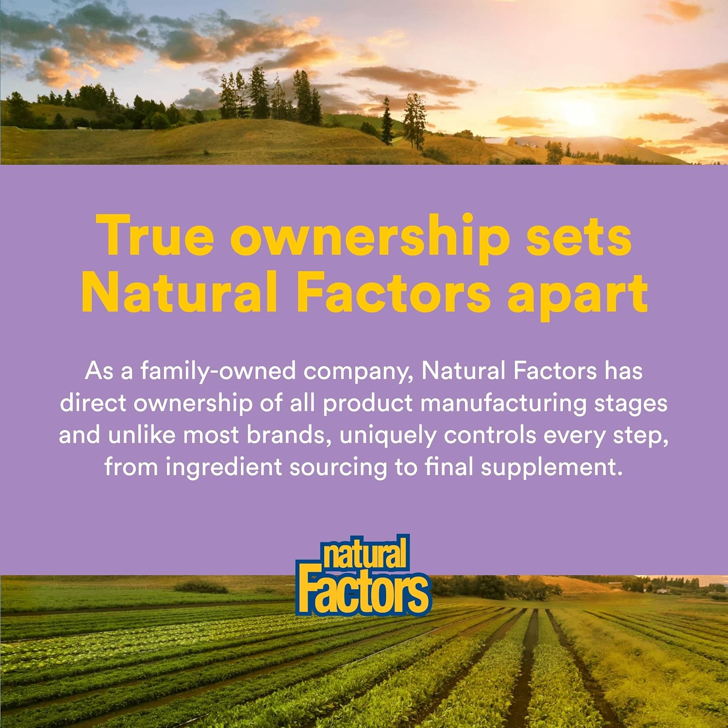 Natural Factors Mixed Vitamin E 400 IU – 240 Softgels